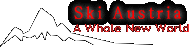 海外スキー2008/2009 オーストリアスキー　セルファウス・フィス・ラディススキー場