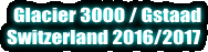 グラシエ3000